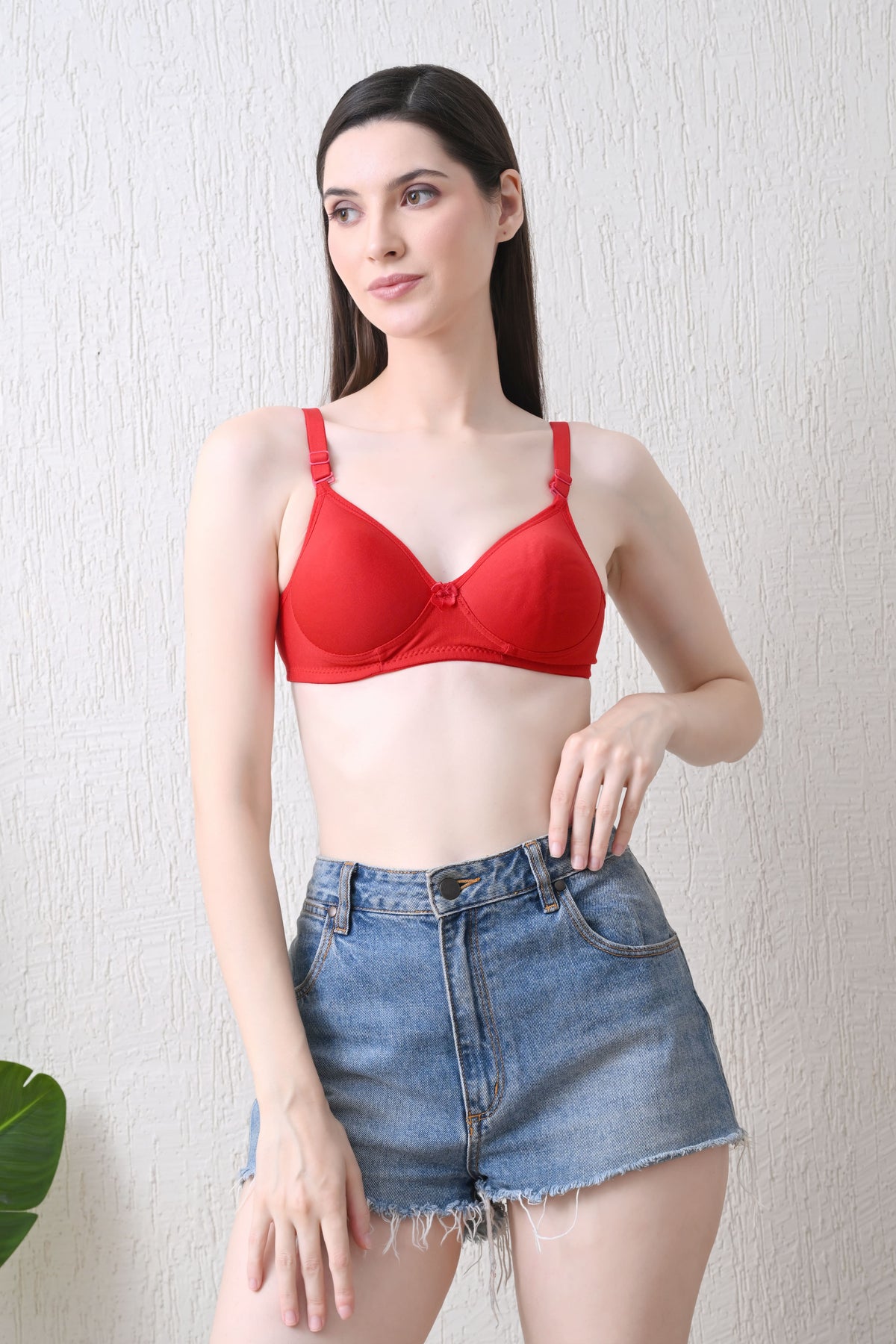 Cozy Curve (Padded)
