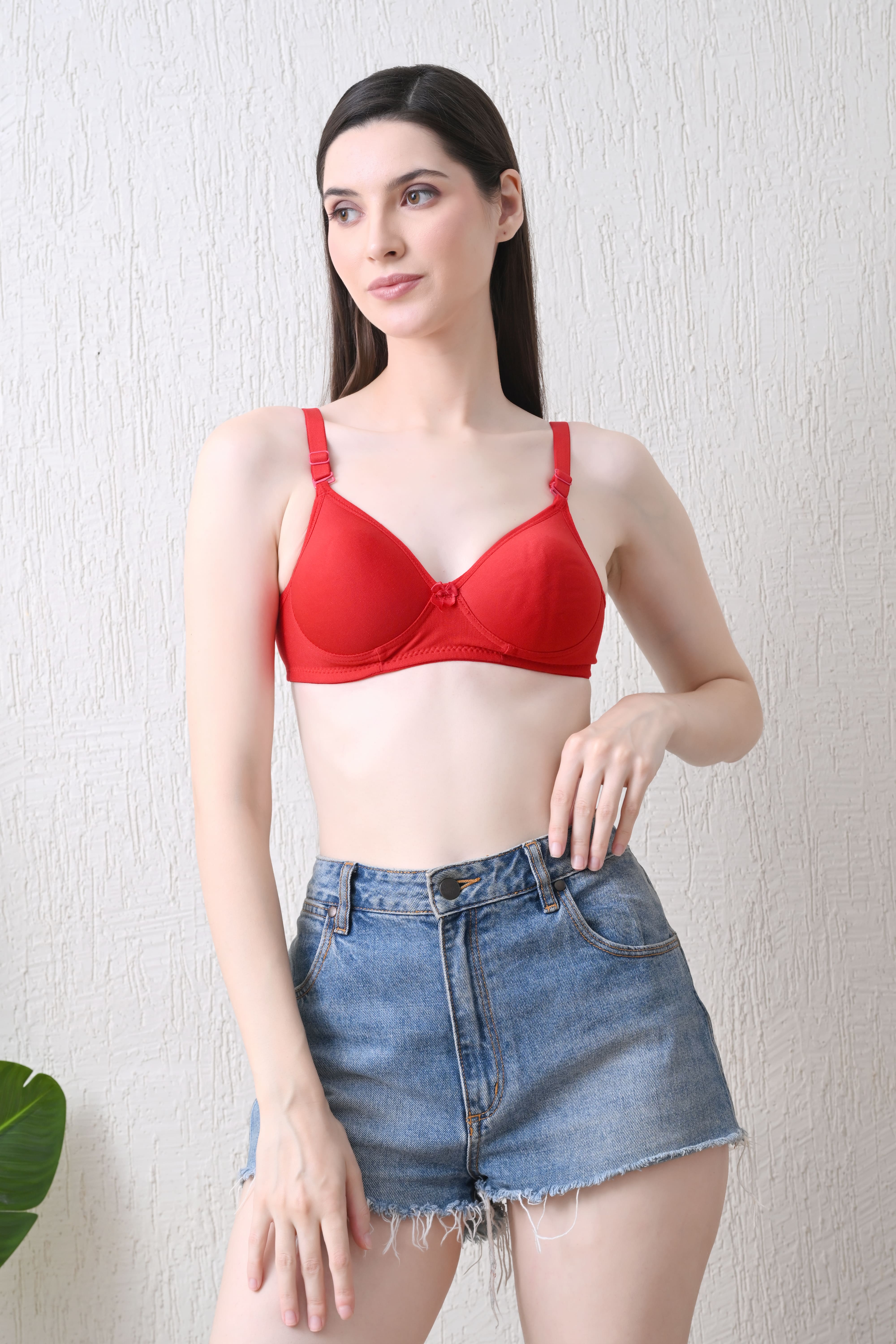 Cozy Curve (Padded)